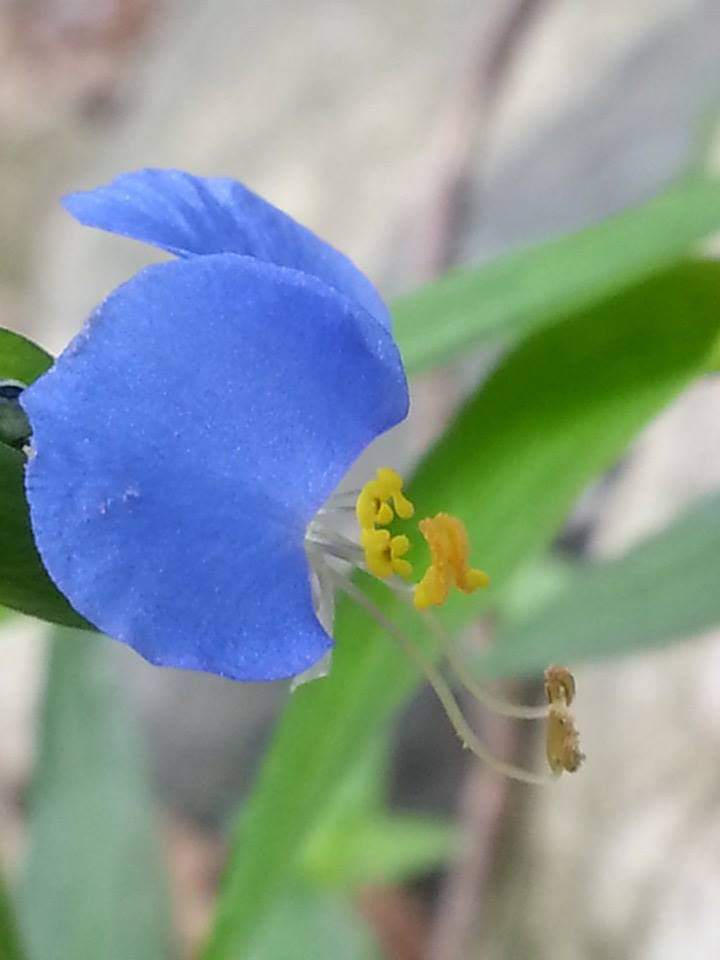 FB_IMG_1565640176821 (2).jpg