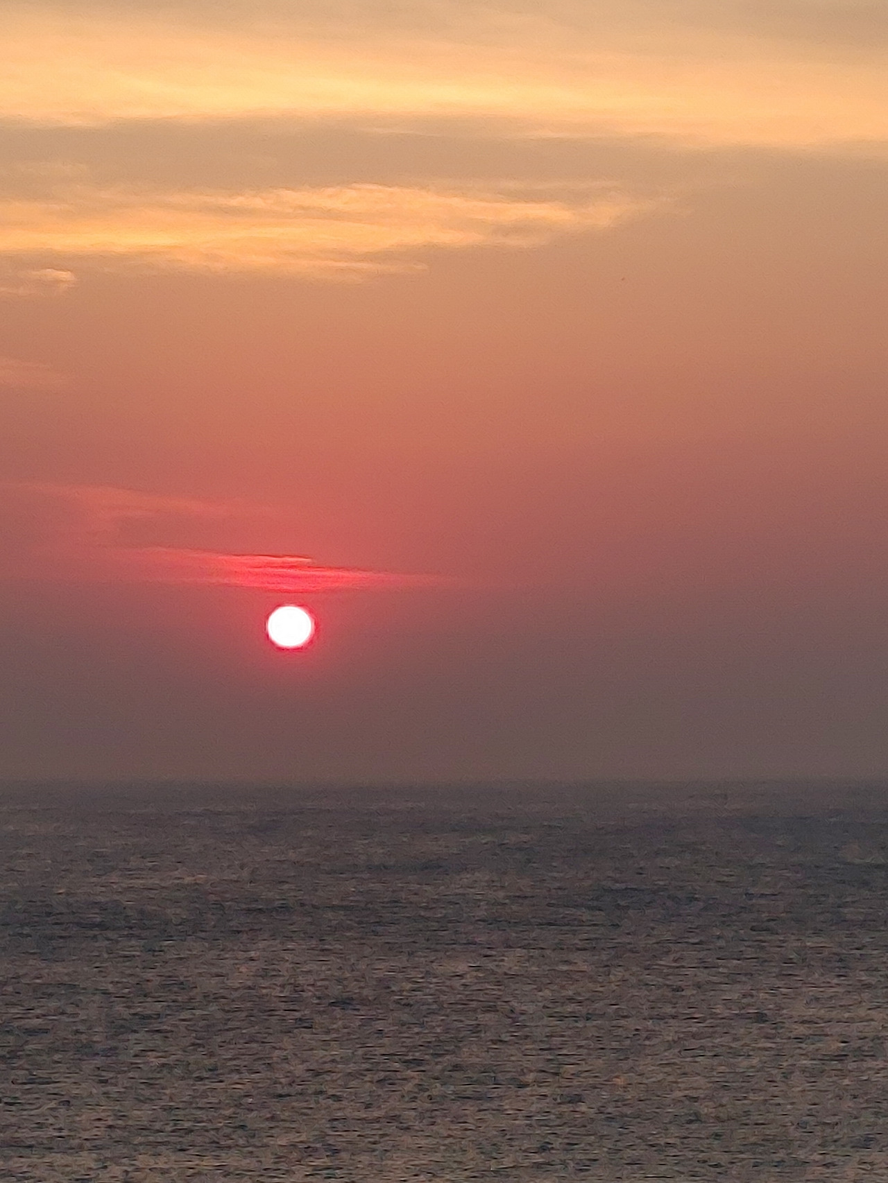 20220522_052139 (1).jpg