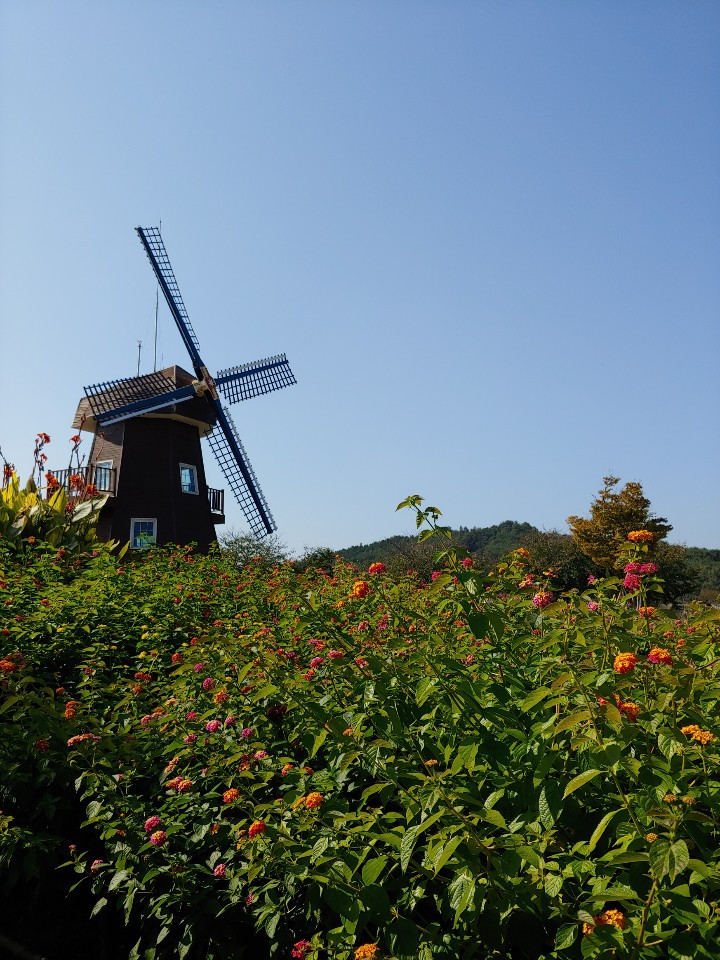 1571609486820 (1).jpg