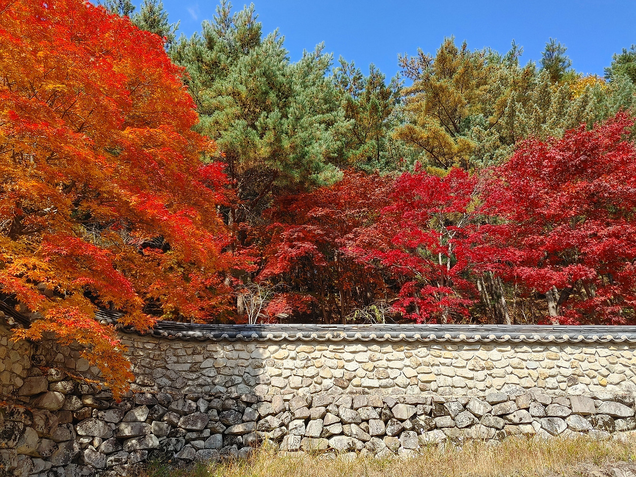 20211106_113814_HDR (1).jpg