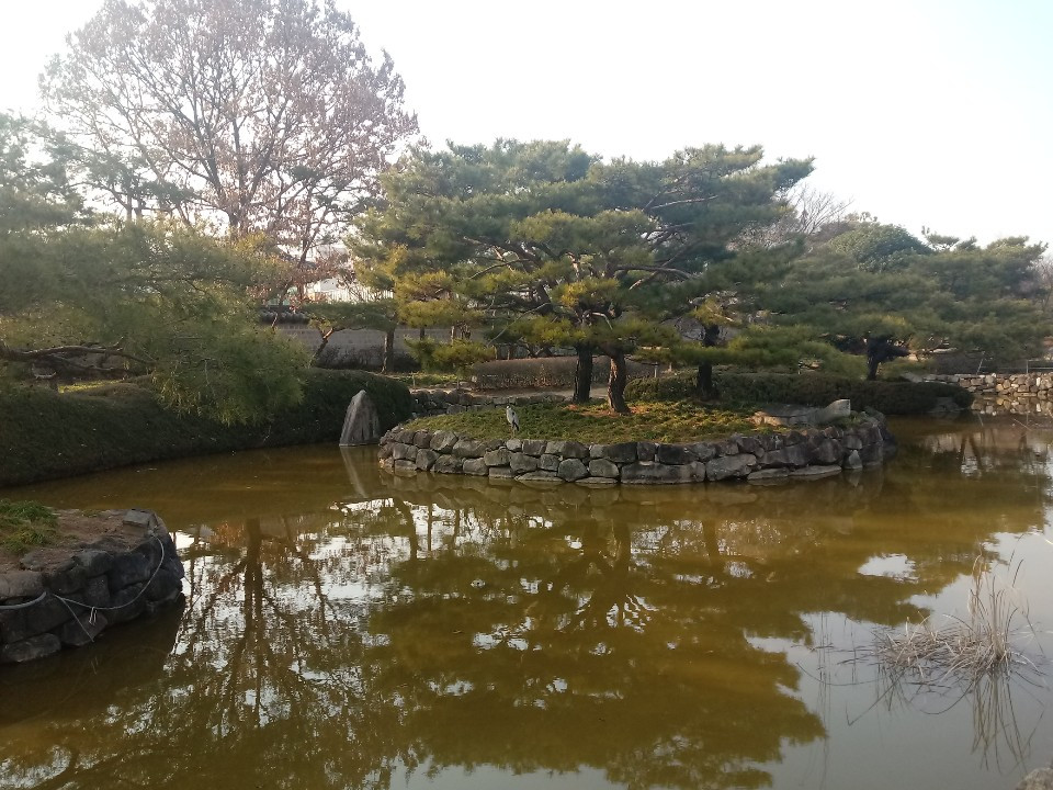 1550364736320 (1).jpg