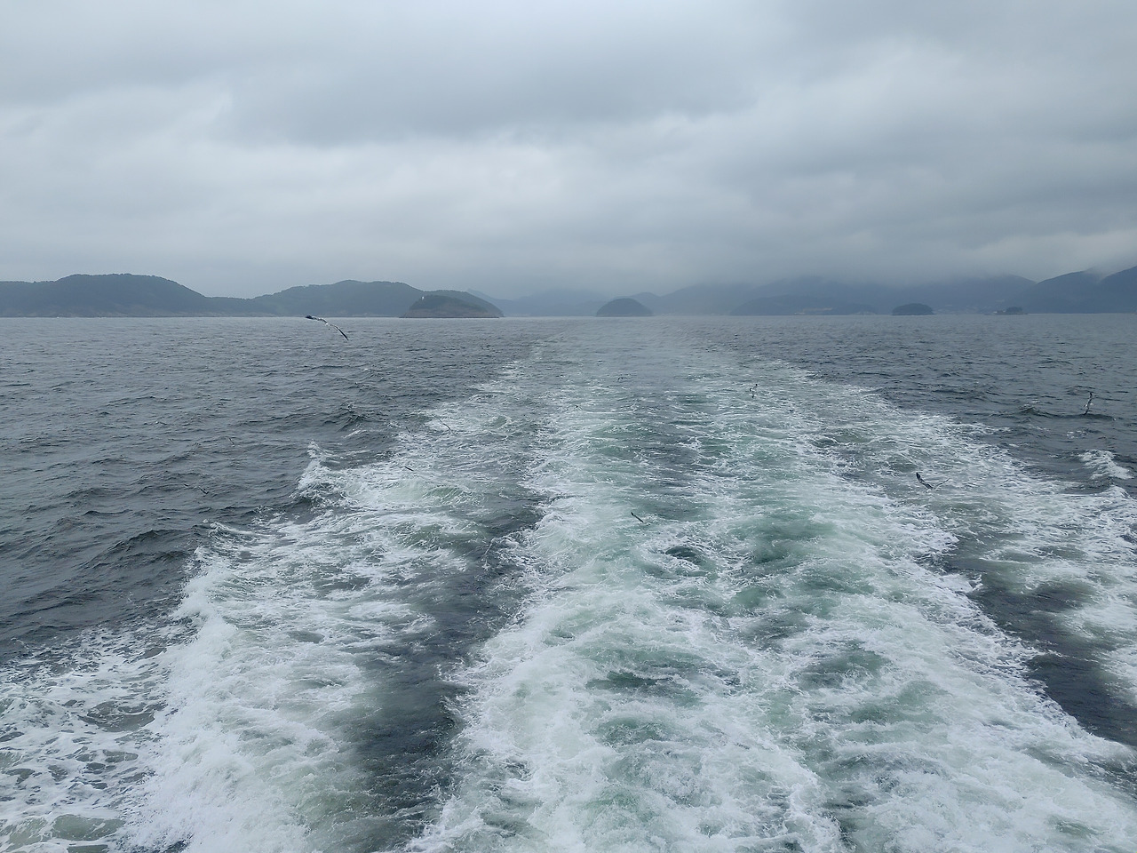 20200808_111607 (1).jpg