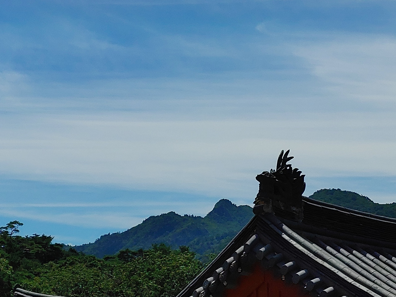 20220828_121743 (1).jpg