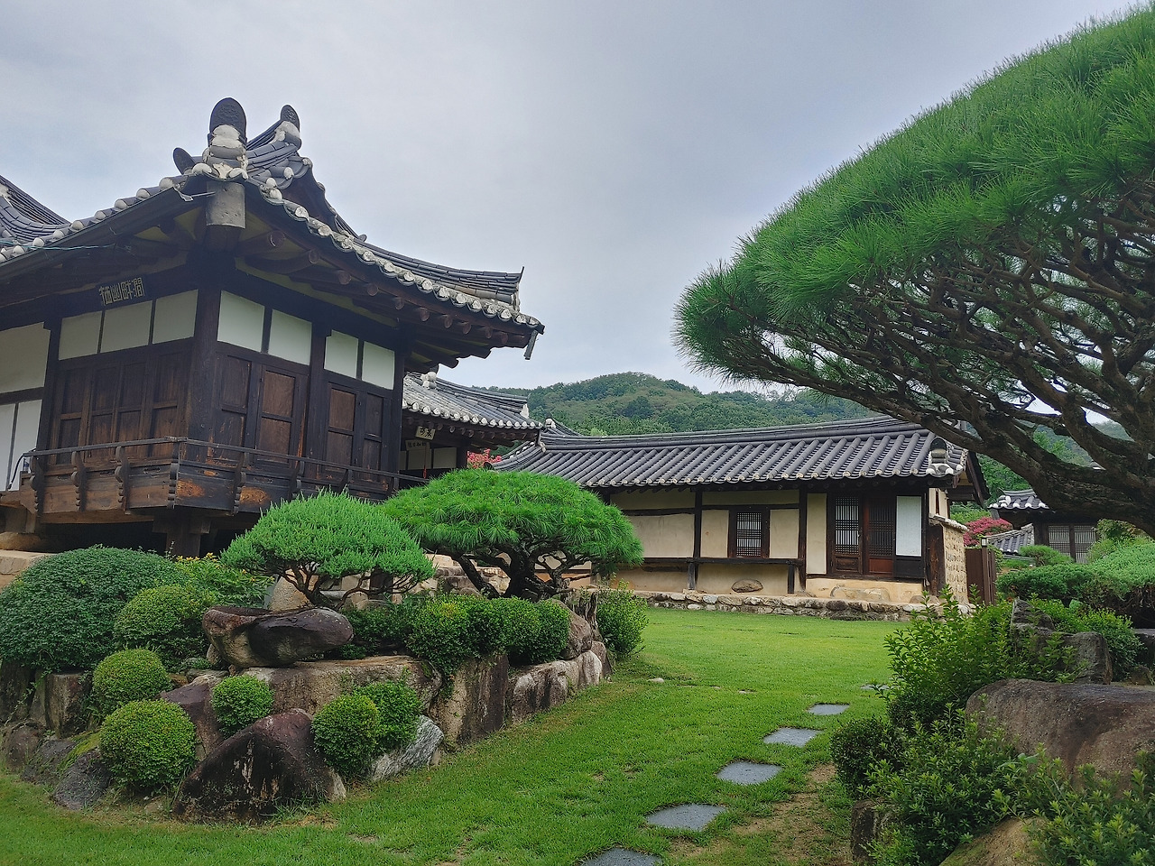 20220810_155004_HDR (1).jpg