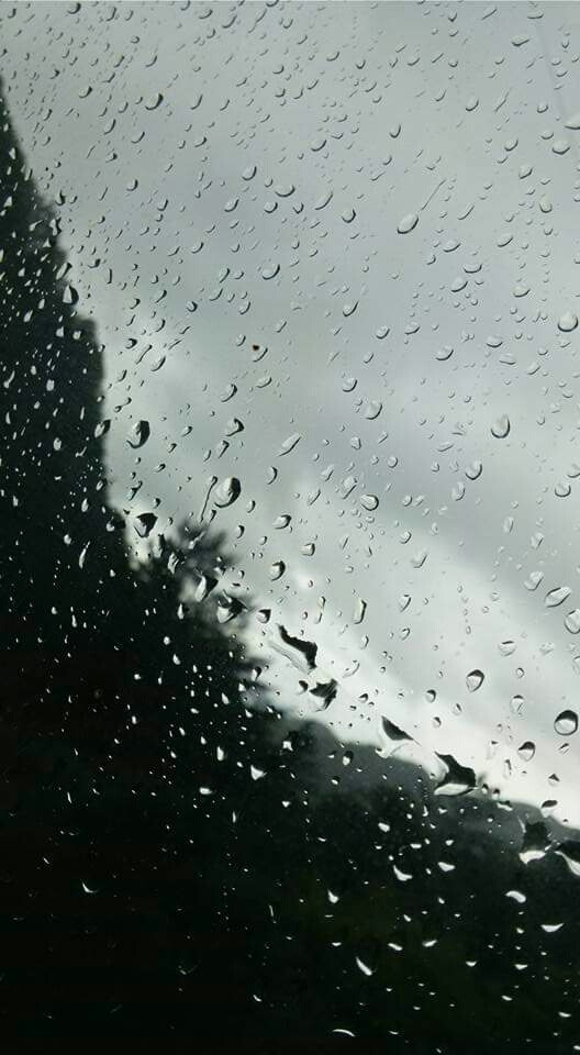 1569289562310 (1).jpg