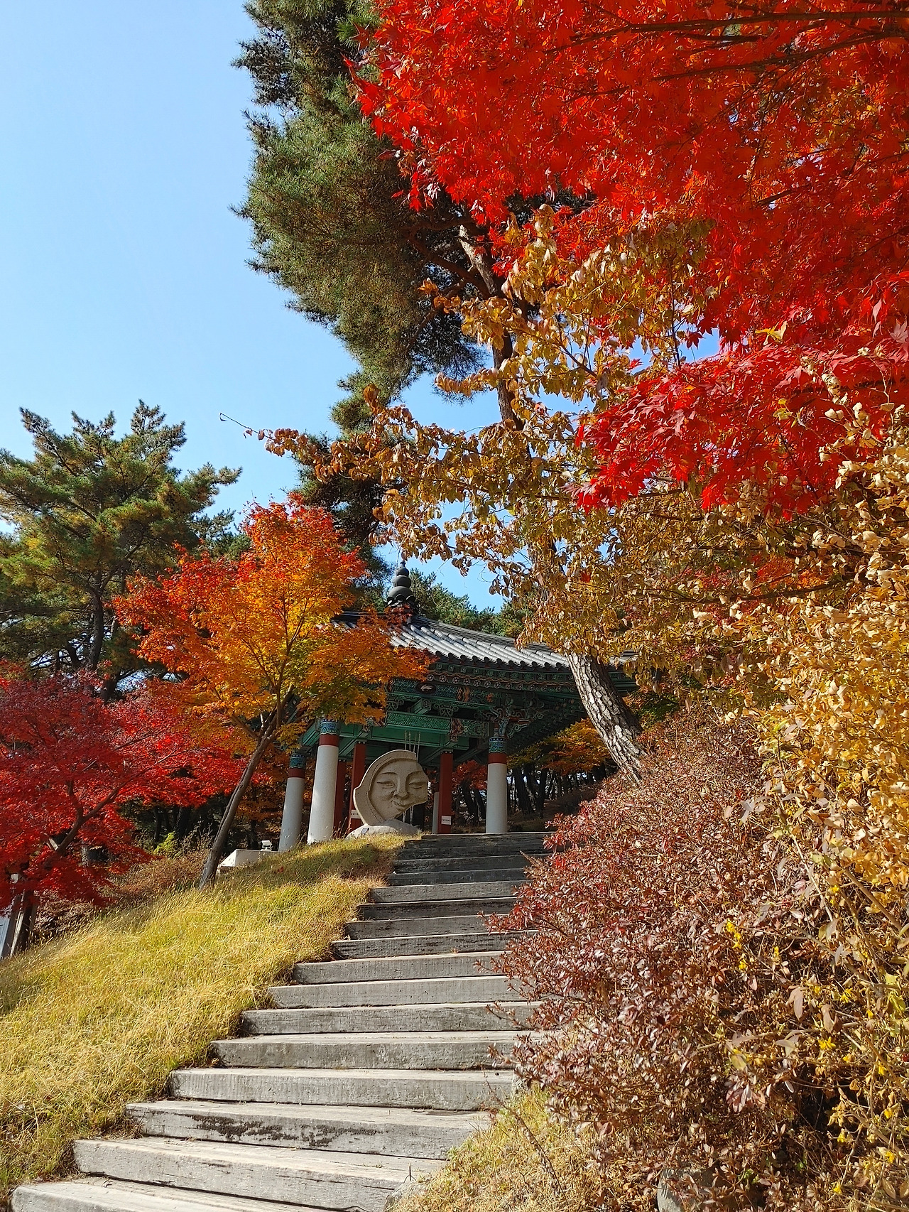 20211106_114233_HDR (1).jpg