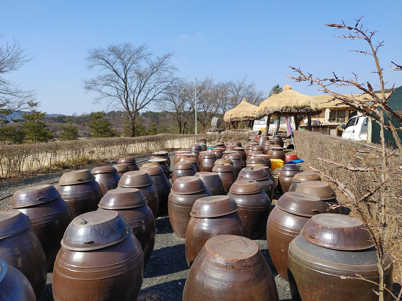 20230225_141928 (1).jpg