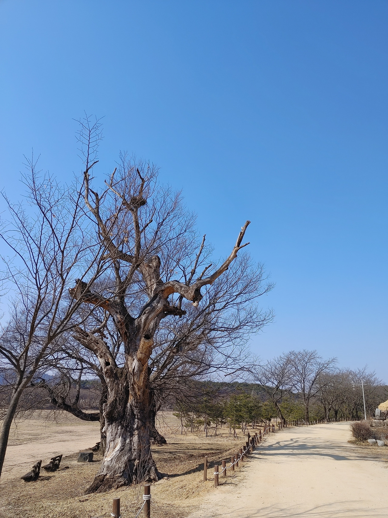 20230225_141839 (1).jpg