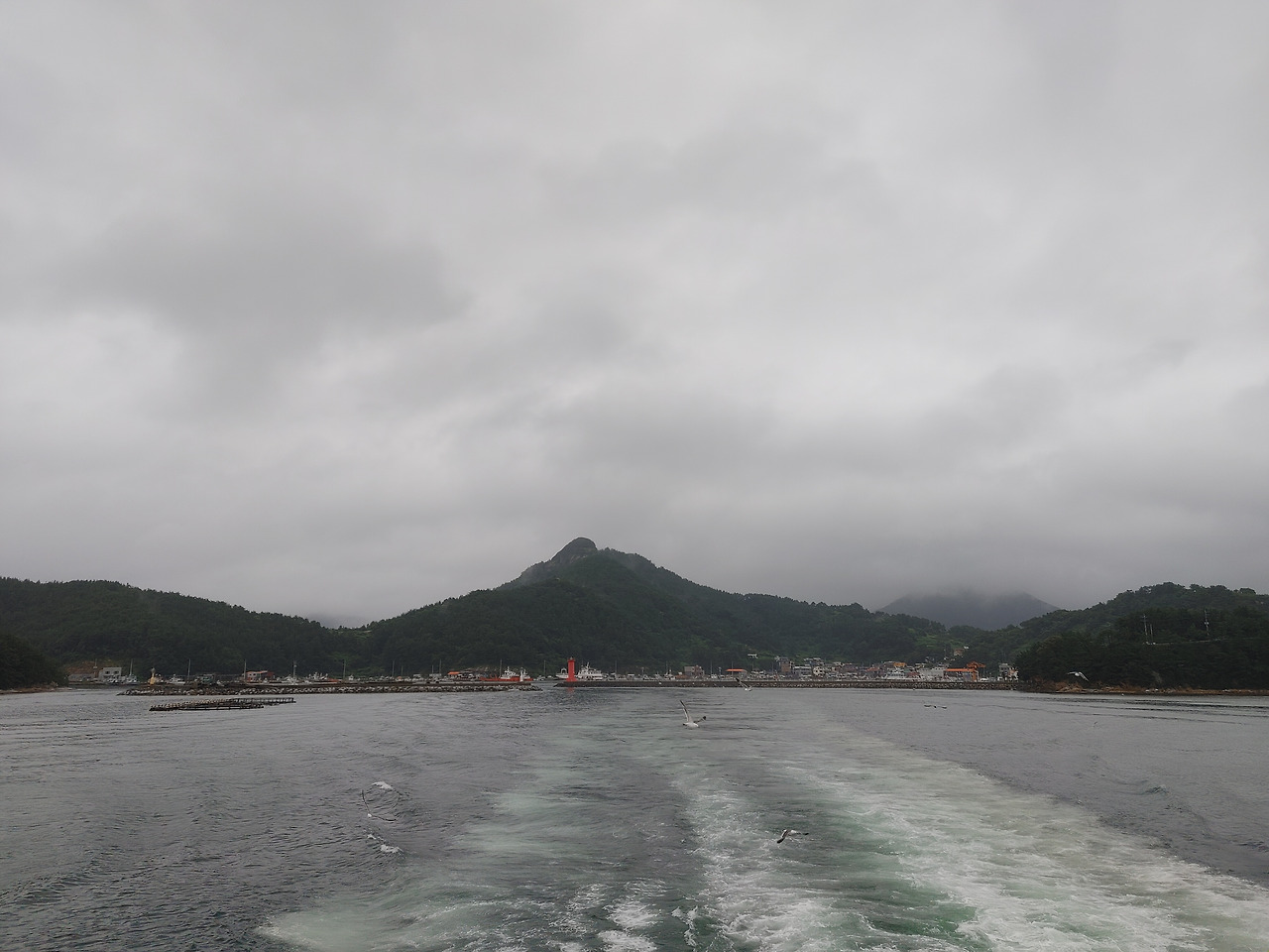 20200808_110431 (1).jpg