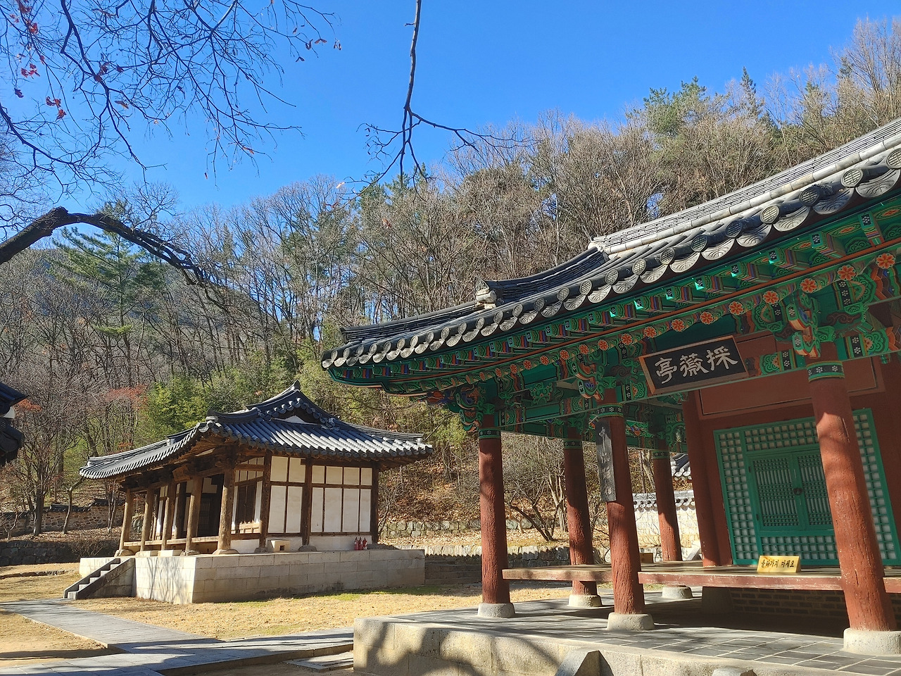 20221127_131149_HDR (1).jpg