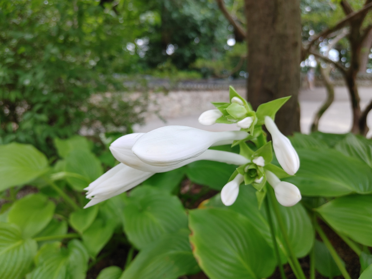 20210822_104715_HDR (1).jpg