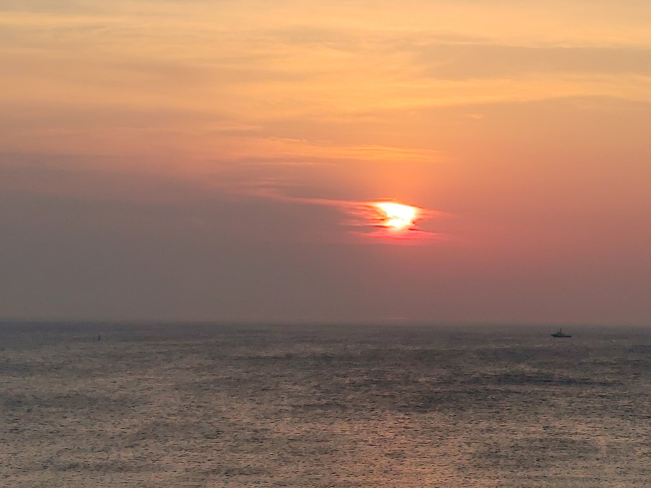 20220522_052949 (1).jpg