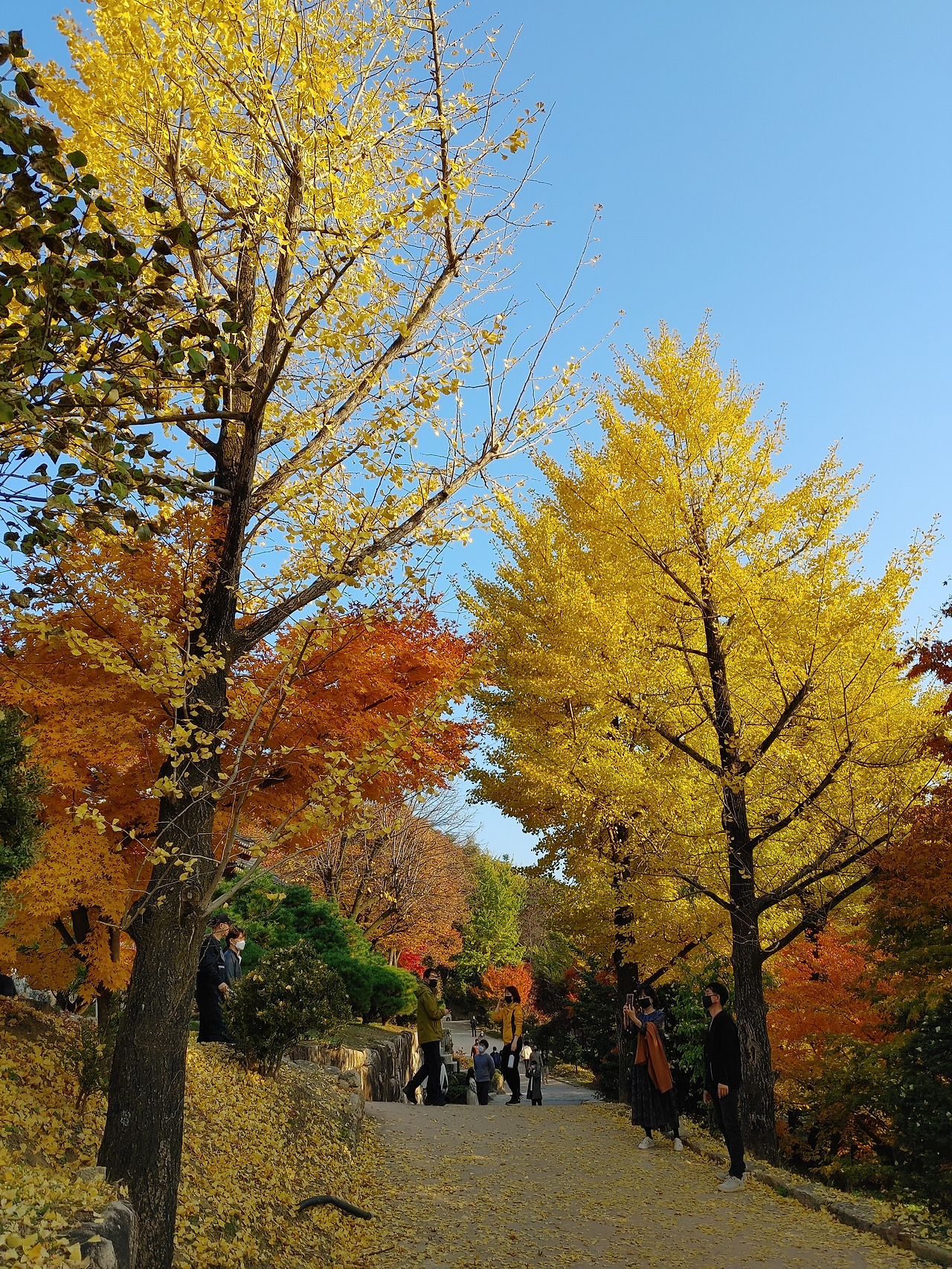 20211031_155517 (1).jpg