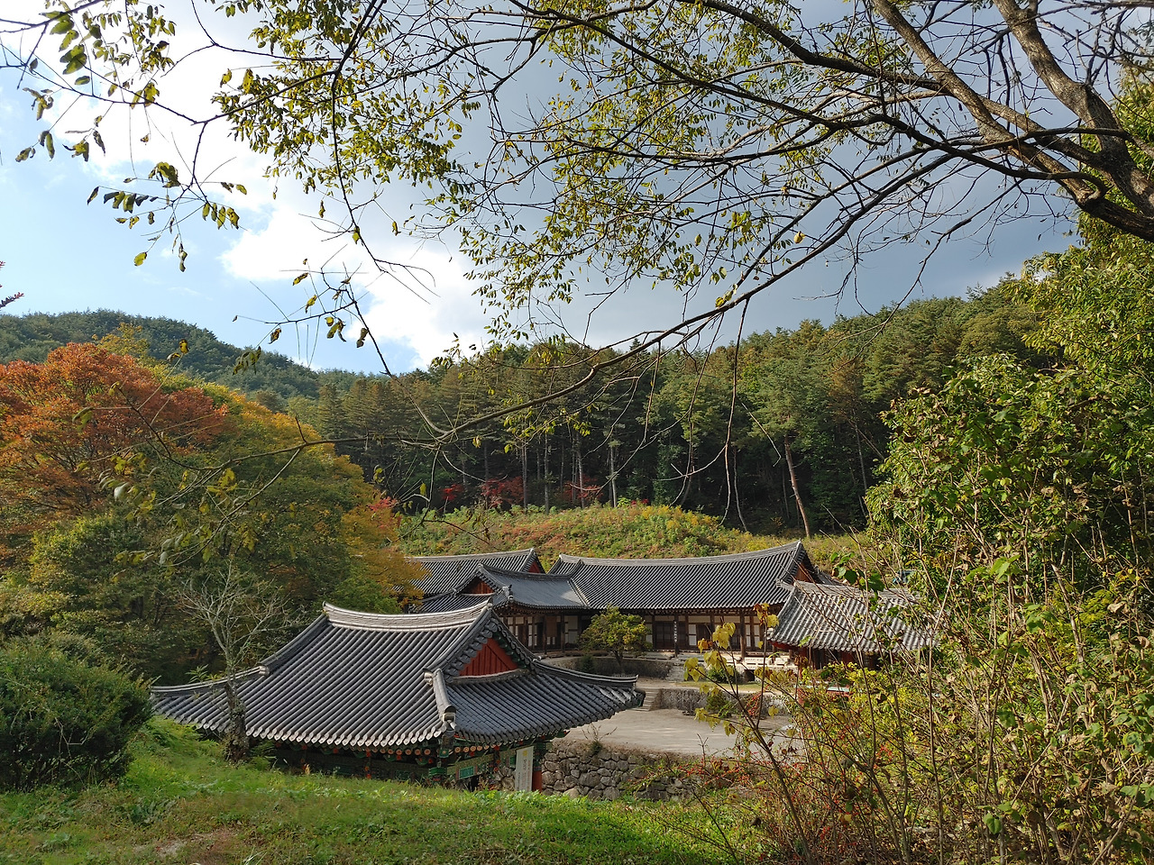 20201017_150410_HDR (1).jpg