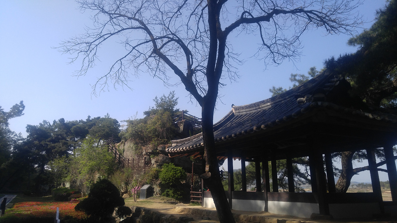 20180419_154338 (1).jpg