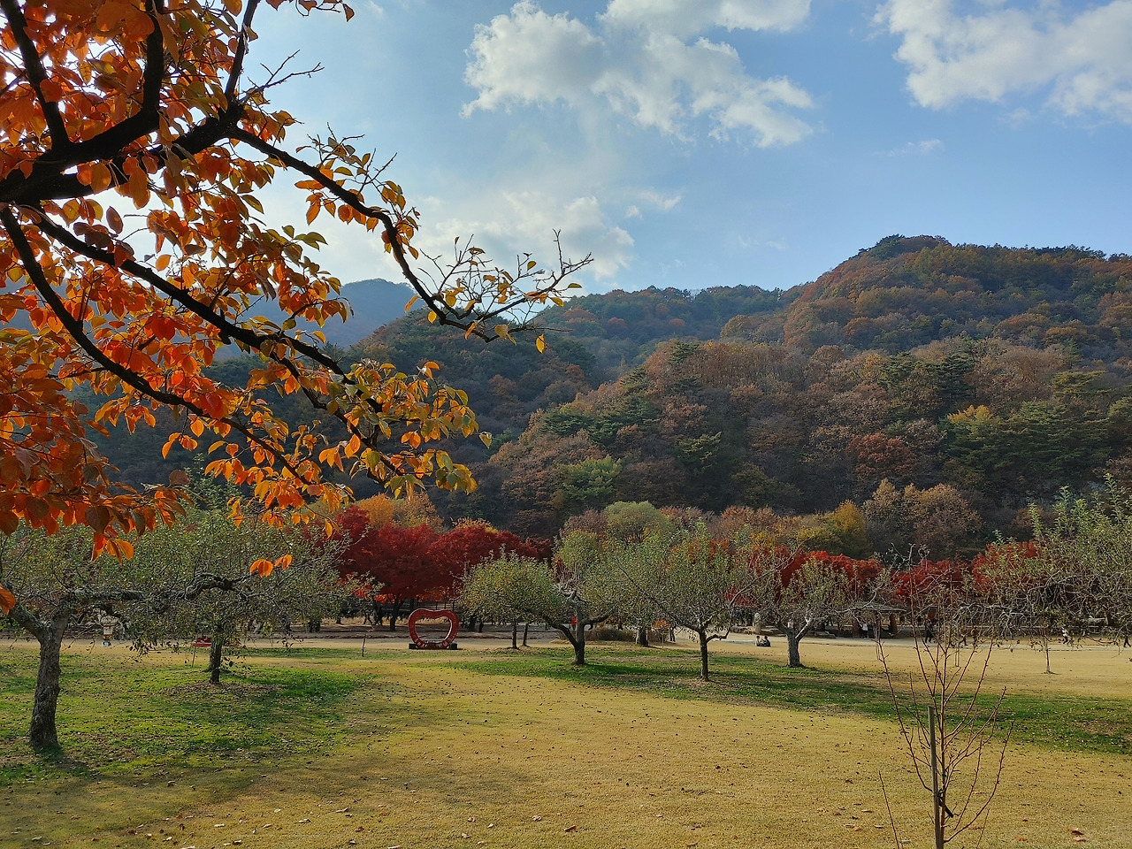 20211106_145519_HDR (1).jpg