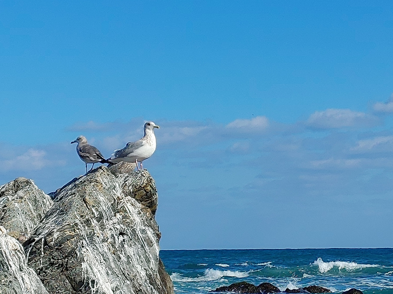 20230110_135708 (1).jpg