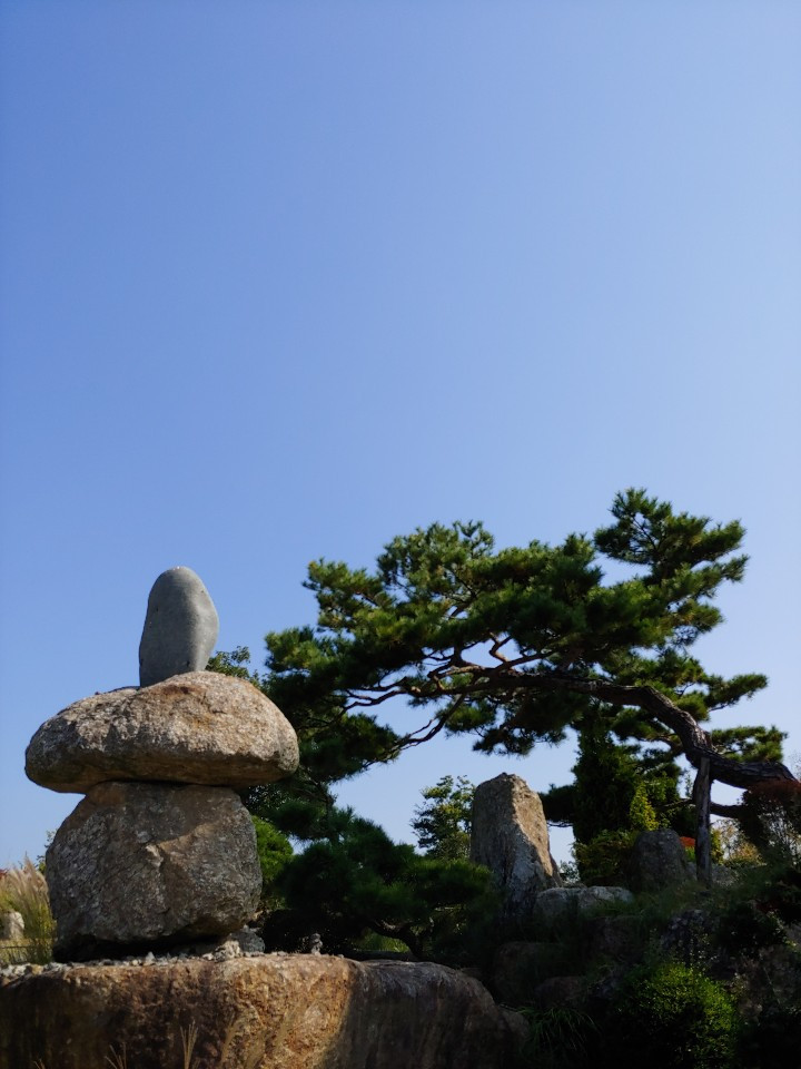 1571609478938 (1).jpg