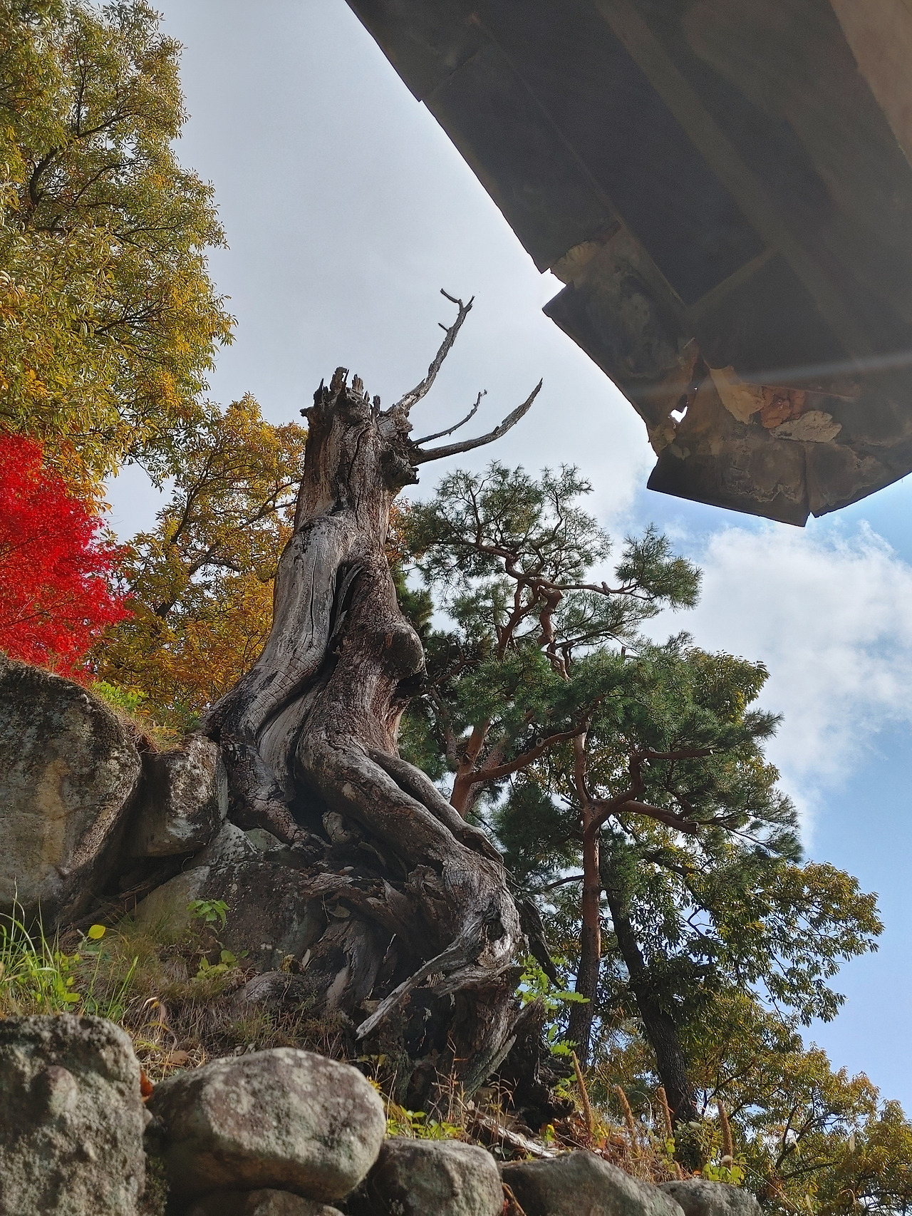 20221029_105725_HDR (1).jpg