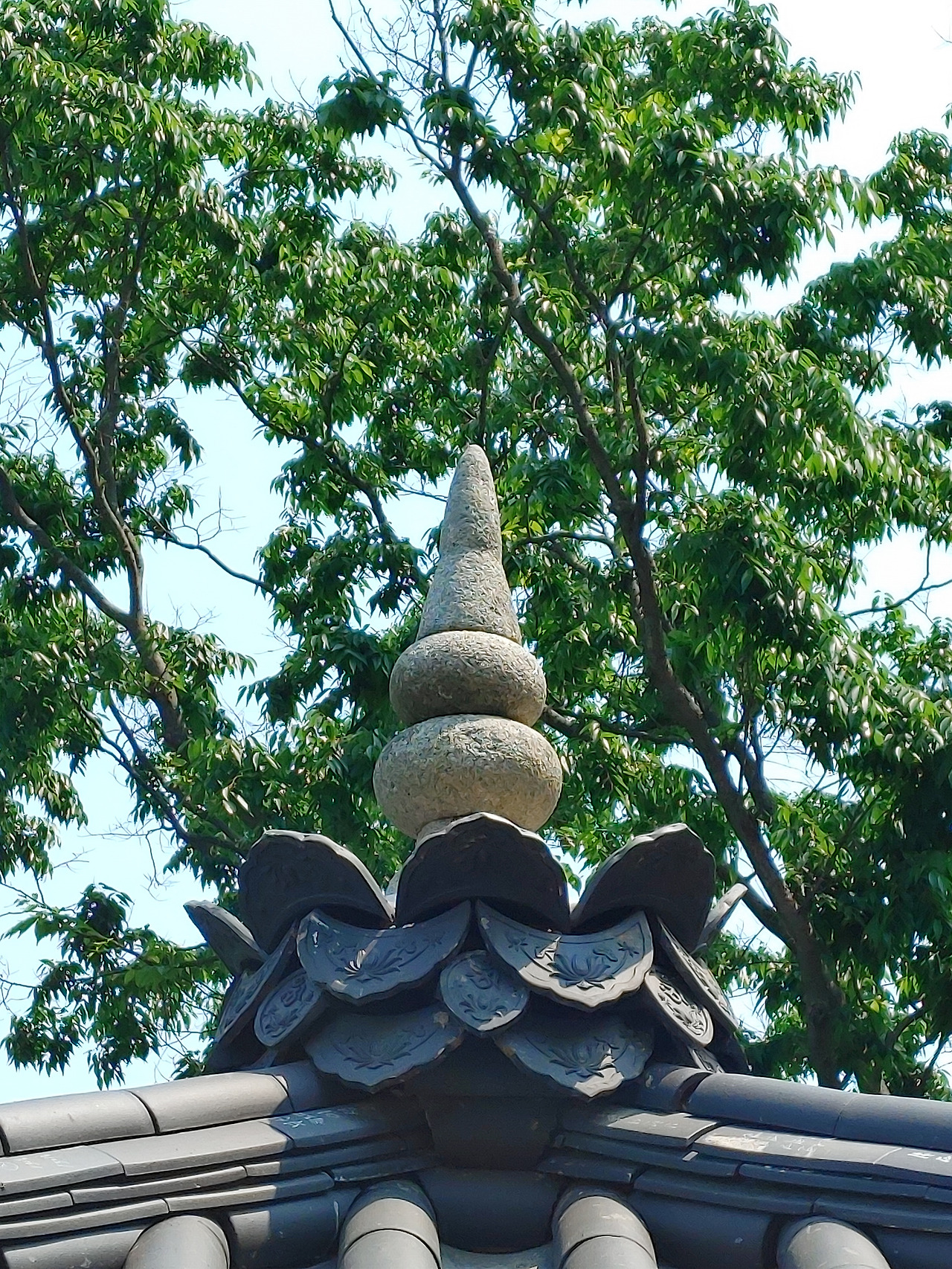 20230513_105758 (1).jpg