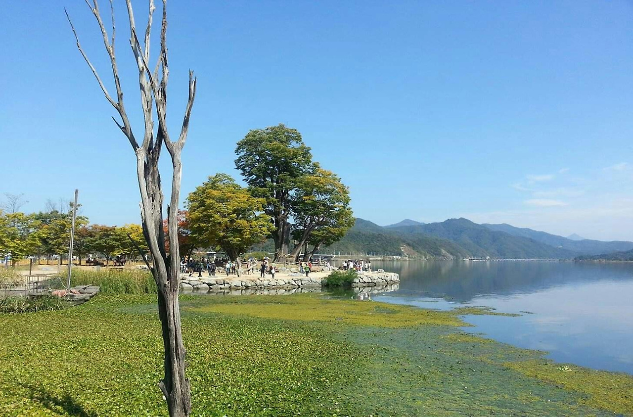 1570832446903 (1).jpg