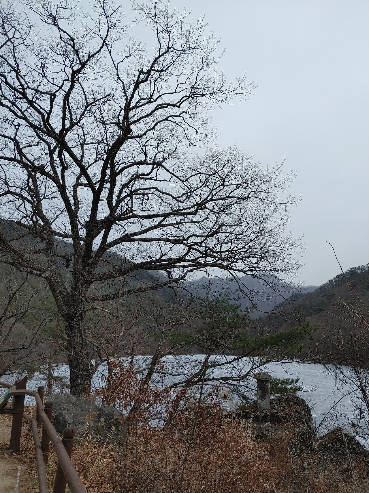 20221217_125734 (1).jpg