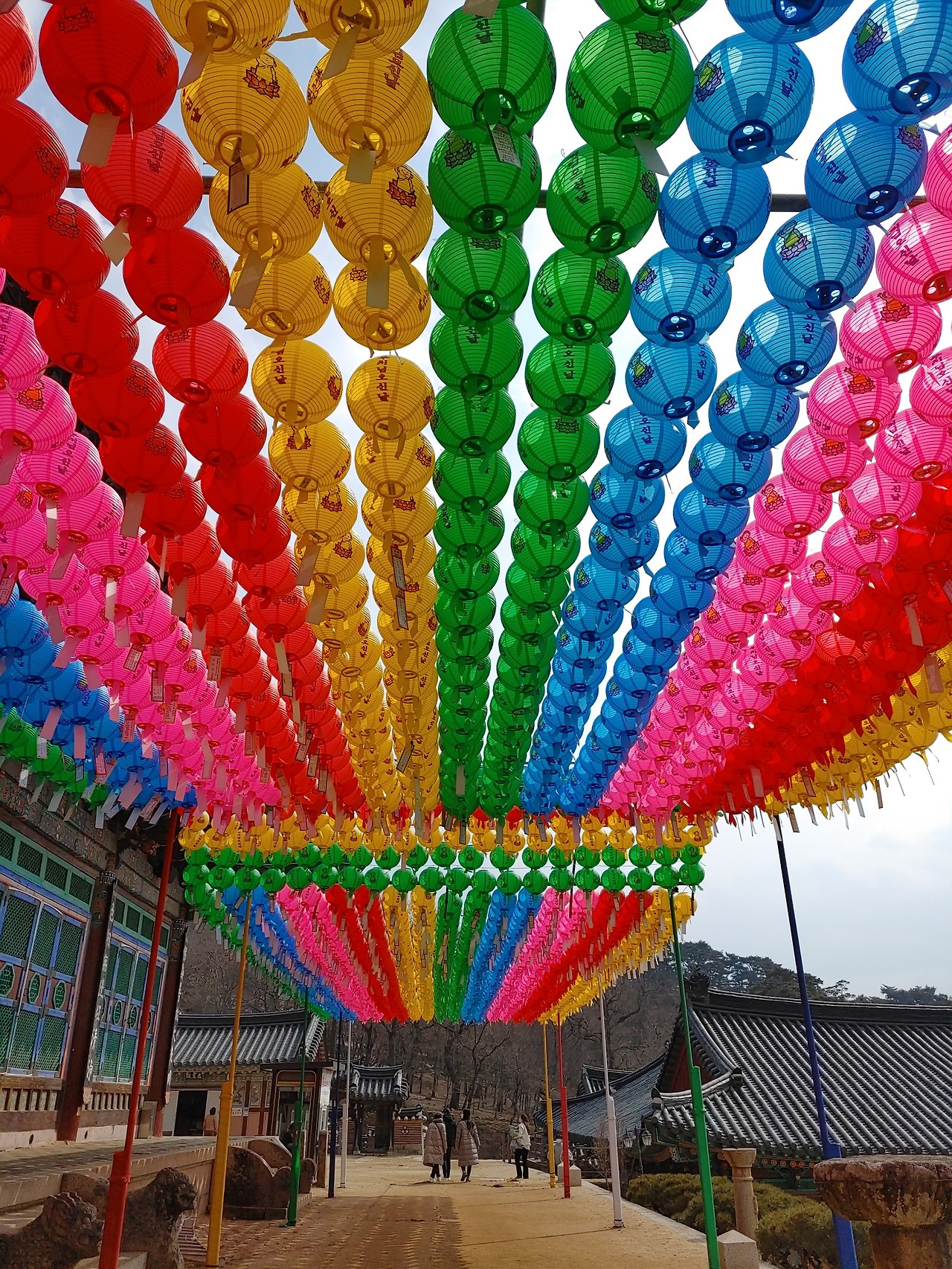 20220301_132435_HDR (1).jpg