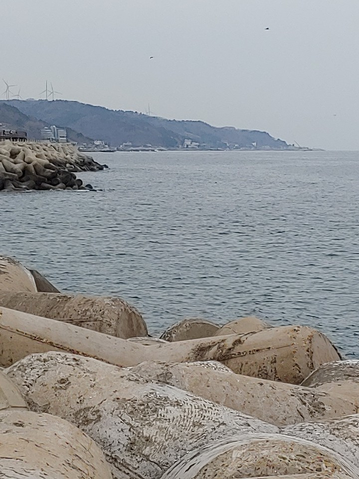 1583634914172 (1).jpg