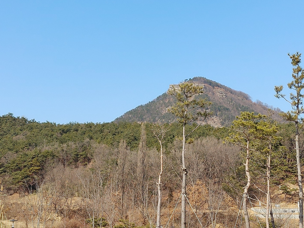 20230203_135038 (1).jpg