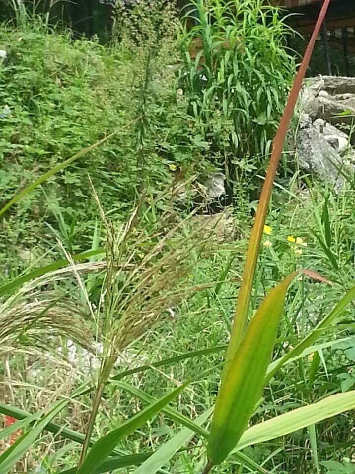 1568154422575 (1).jpg