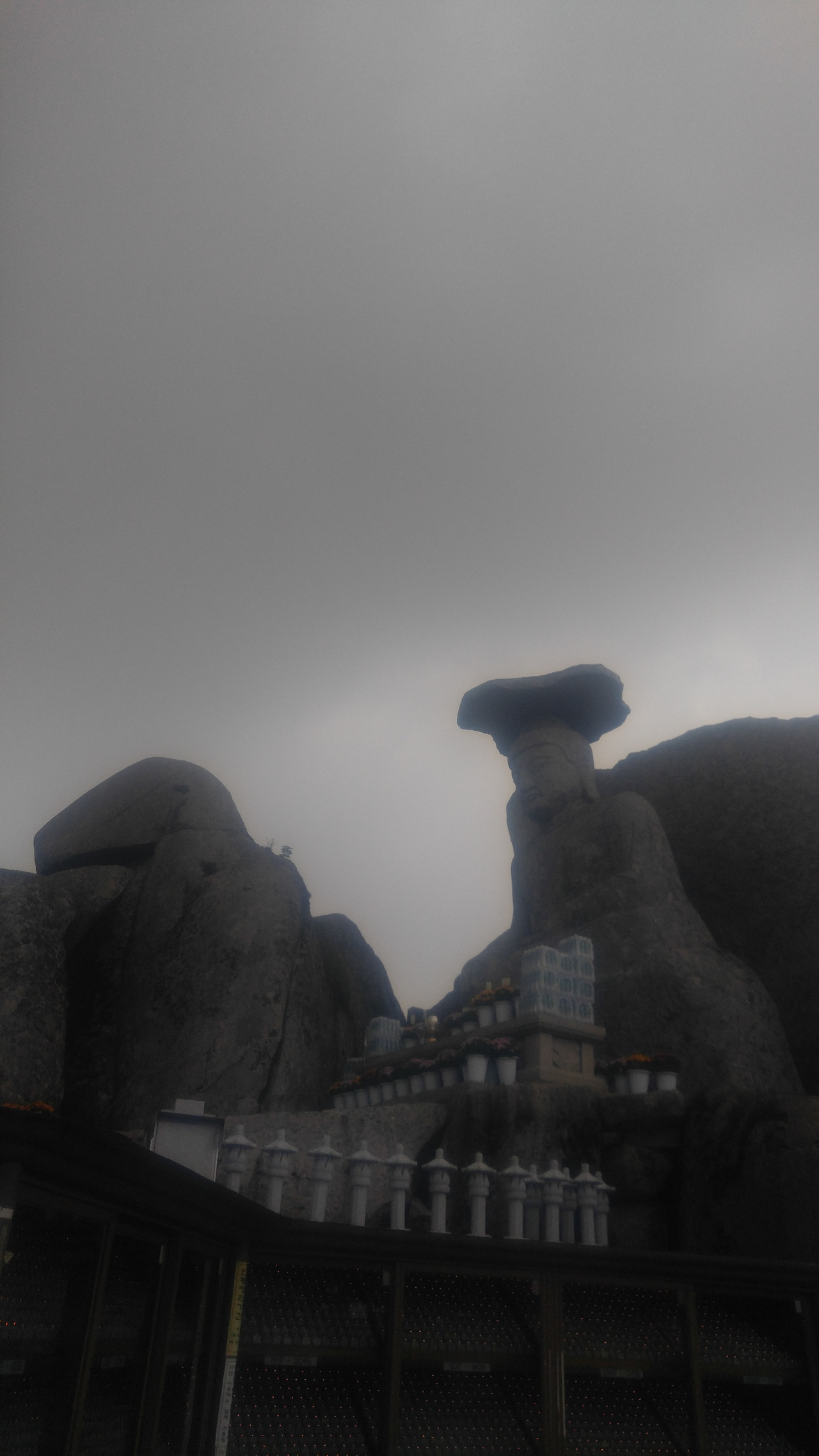 20190807_160031 (1).jpg