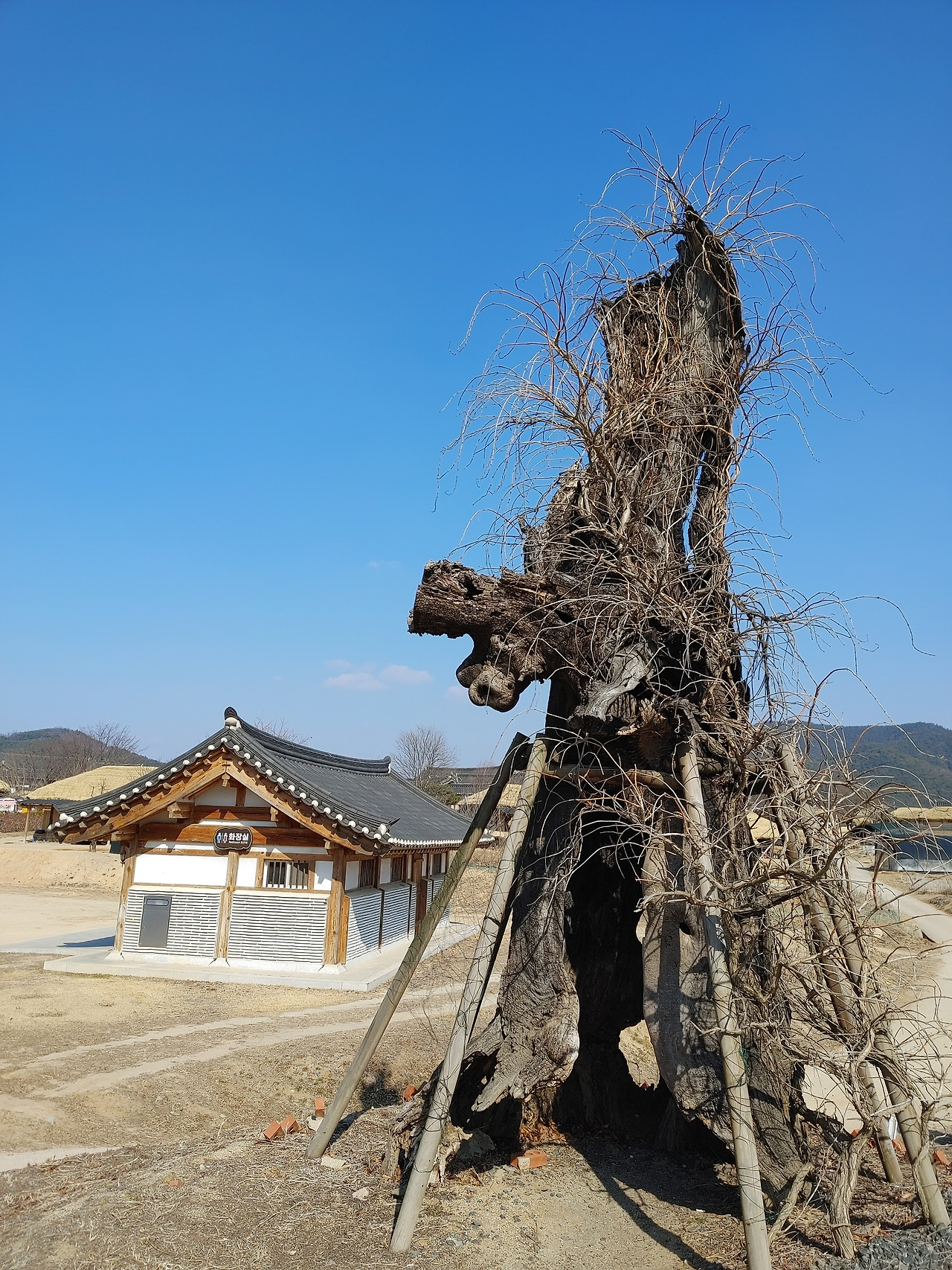 20230225_141517 (1).jpg