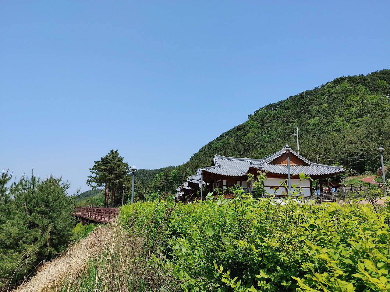 20230430_123201 (1).jpg