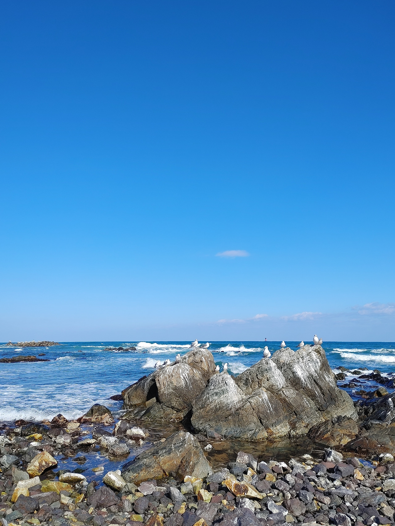 20230110_135611 (1).jpg