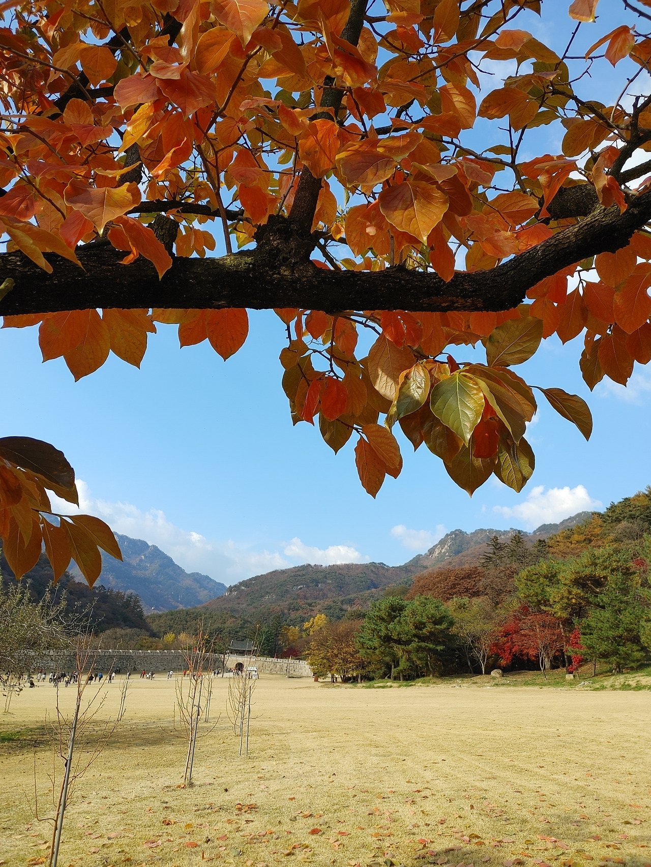 20211106_145428 (1).jpg