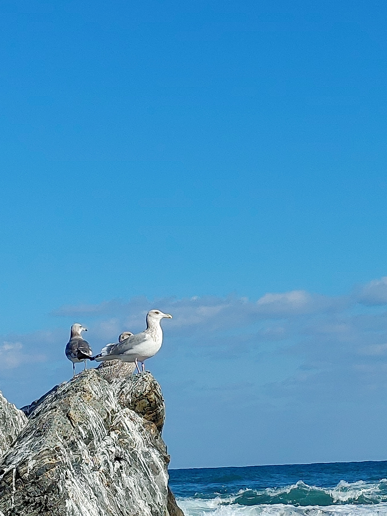 20230110_135644 (1).jpg