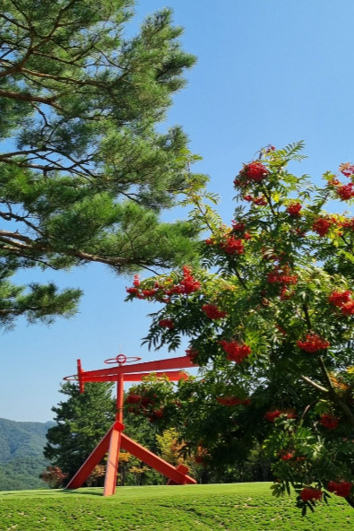 카지노 게임