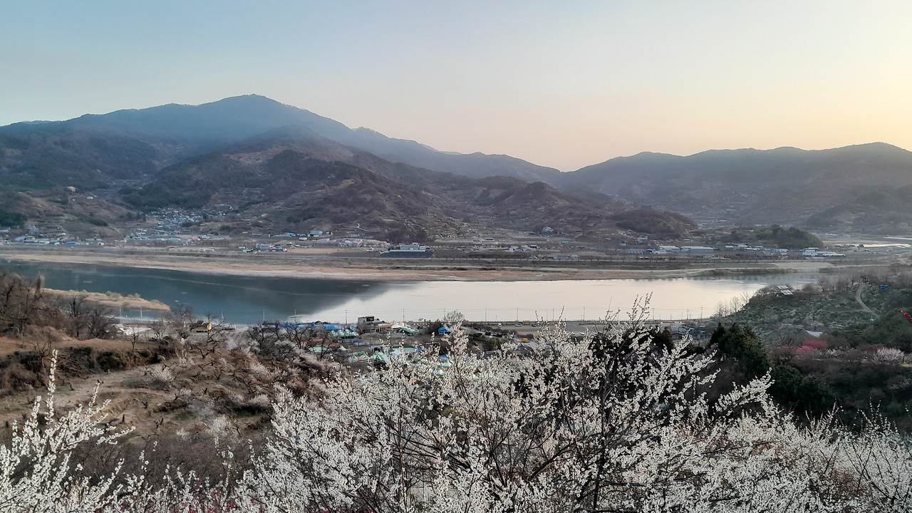 매장 된 슬픔