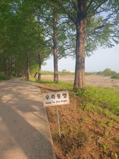 우측통행.jpg