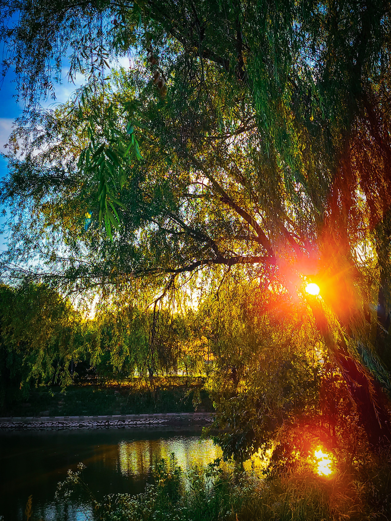 20240915_070838 (1).jpg