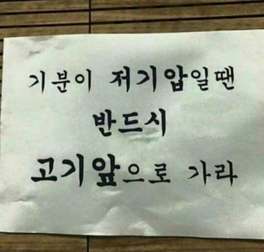 카지노 게임 추천