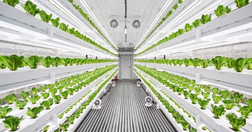 Planty-cube-automated-vertical-farming-system.jpg