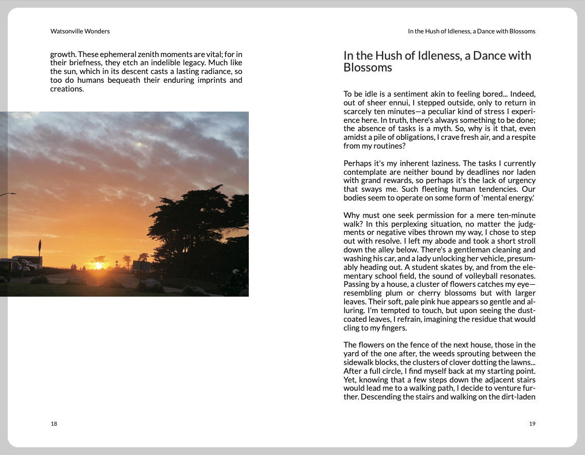 iScreen Shoter - 미리보기 - 250113194642.jpg