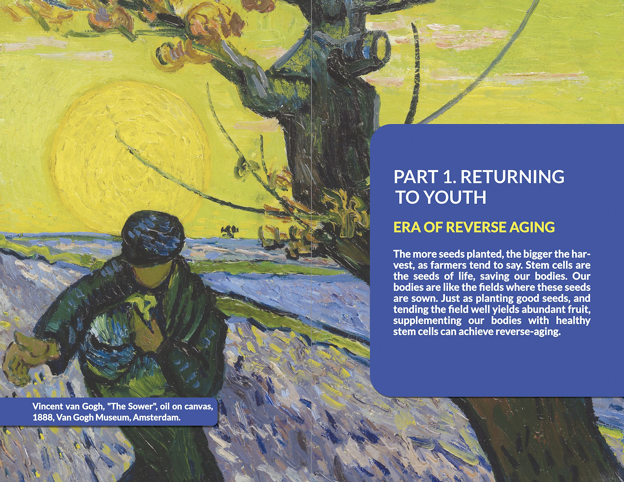 iScreen Shoter - Affinity Publisher 2 - 241017201558.jpg