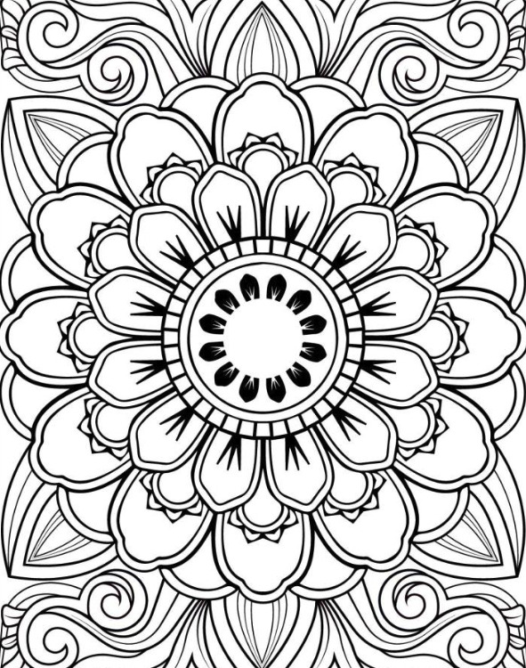 iScreen Shoter - Google Chrome - 240716142832.jpg