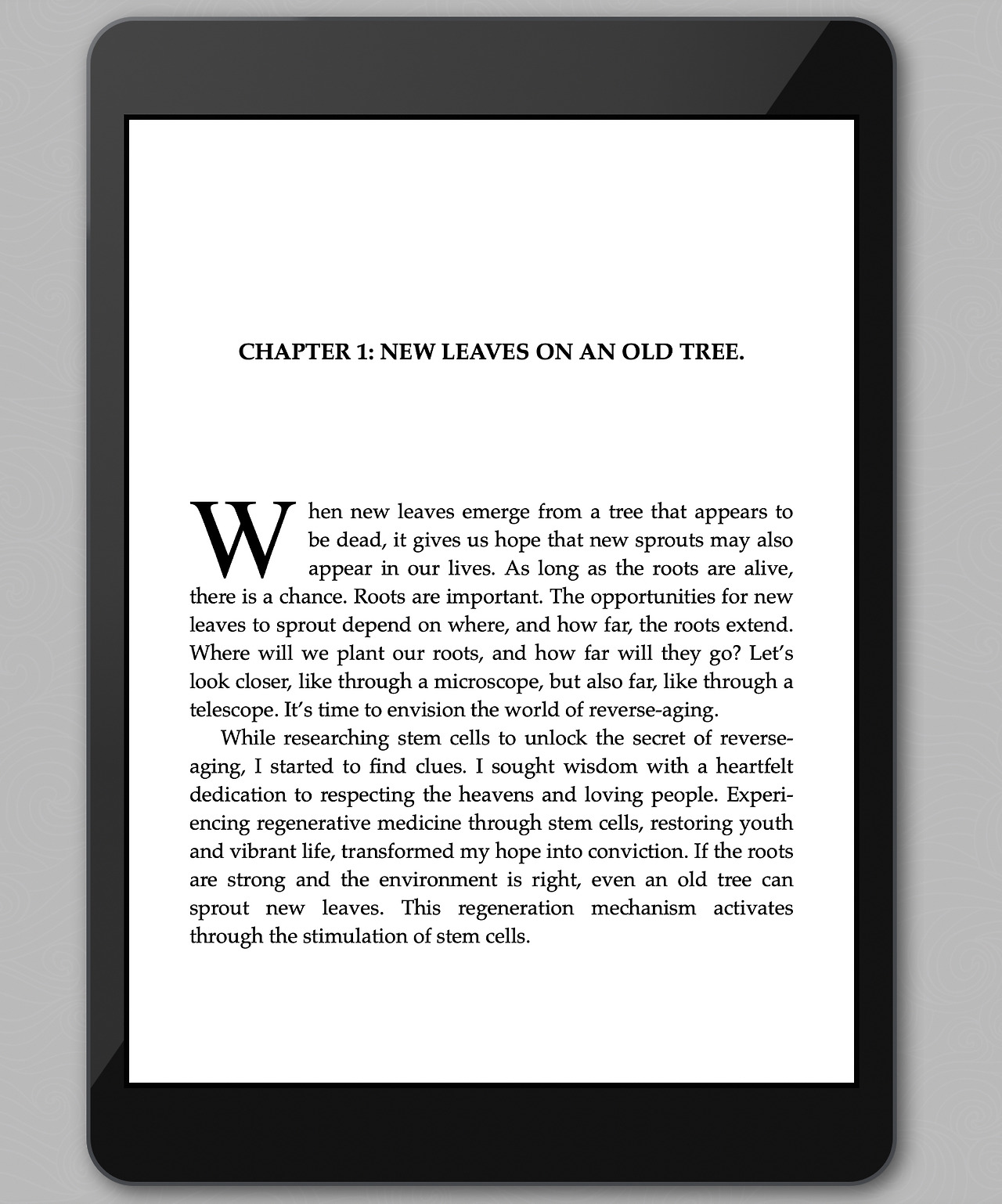 iScreen Shoter - Vellum - 241017201725.jpg