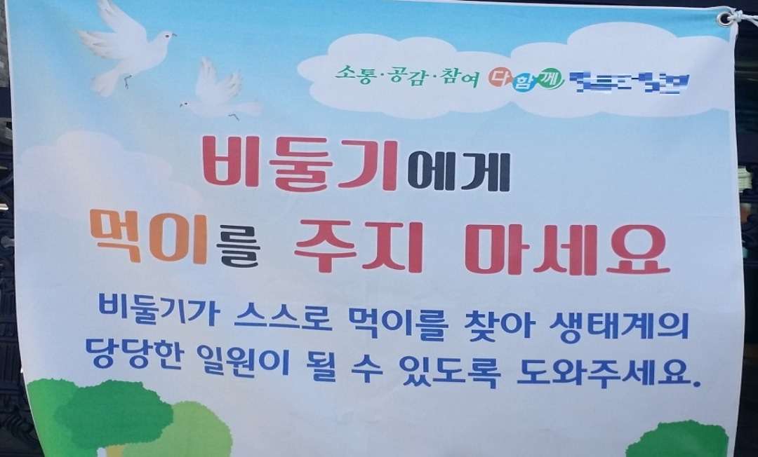 비둘기에게- 플래카드 편집.jpg