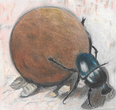 소똥구리 그린 것 스캔 축소.jpg