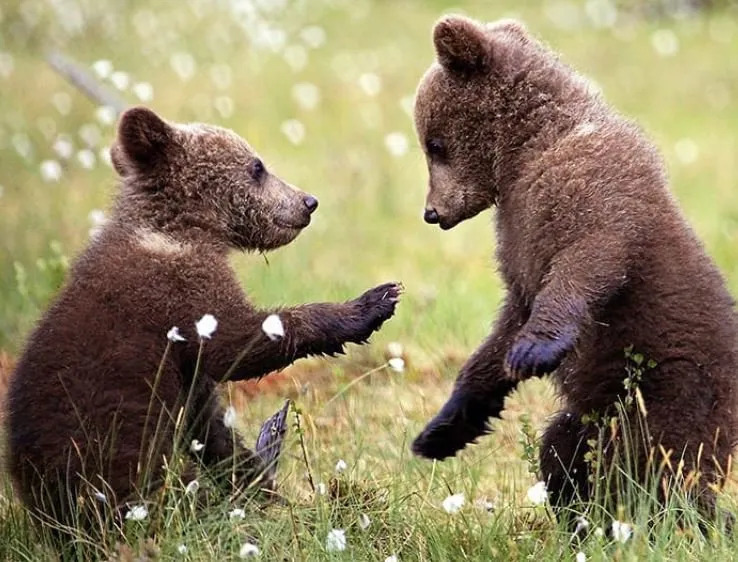 다운로드 (3).jpg