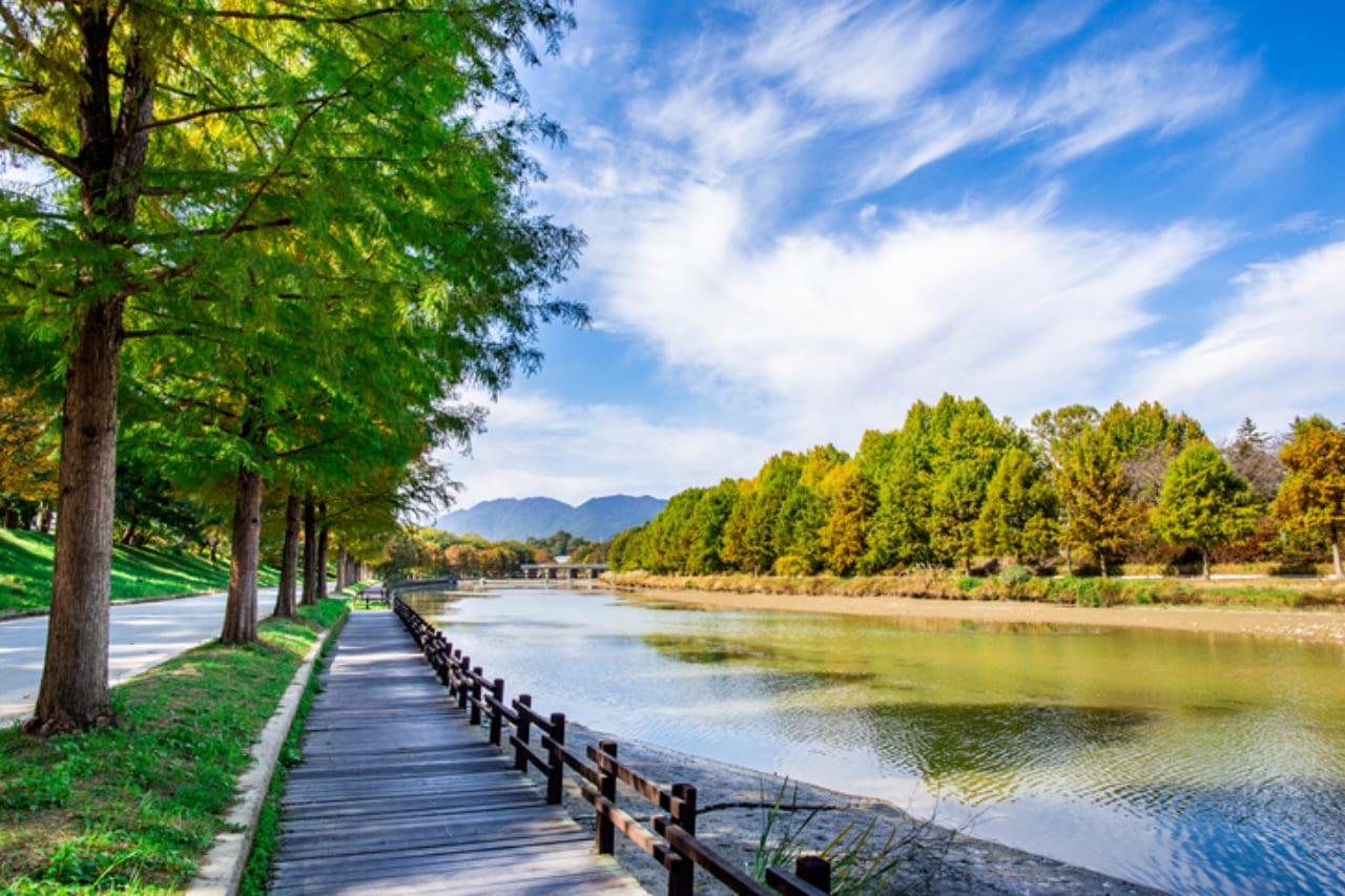 가을 여행지 관방제림 (6).jpg